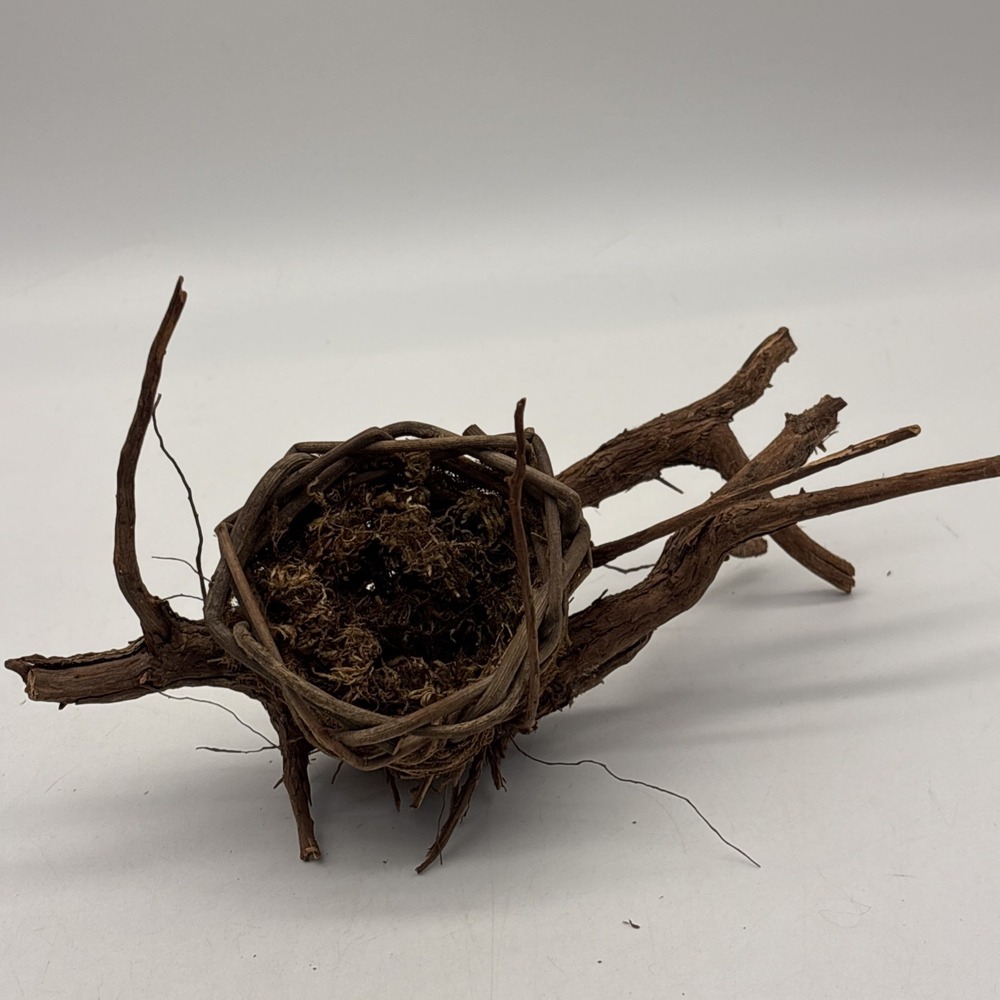 Bird nest  Garden decorations, home, floral accent, crafts, center piece